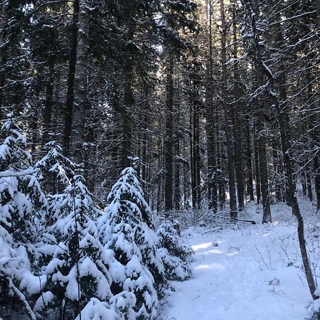 Kungsbergetnatur Järbo المظهر الخارجي الصورة